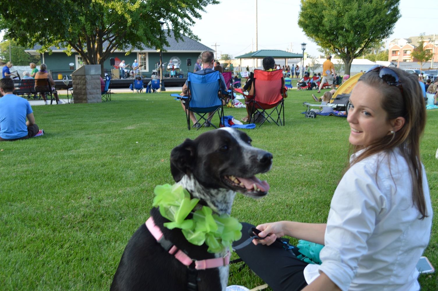 A dog sits with a flower lei at a Mr. Meyers concert at Cortesi Veterans Memorial Park on Aug. 4, 2016.